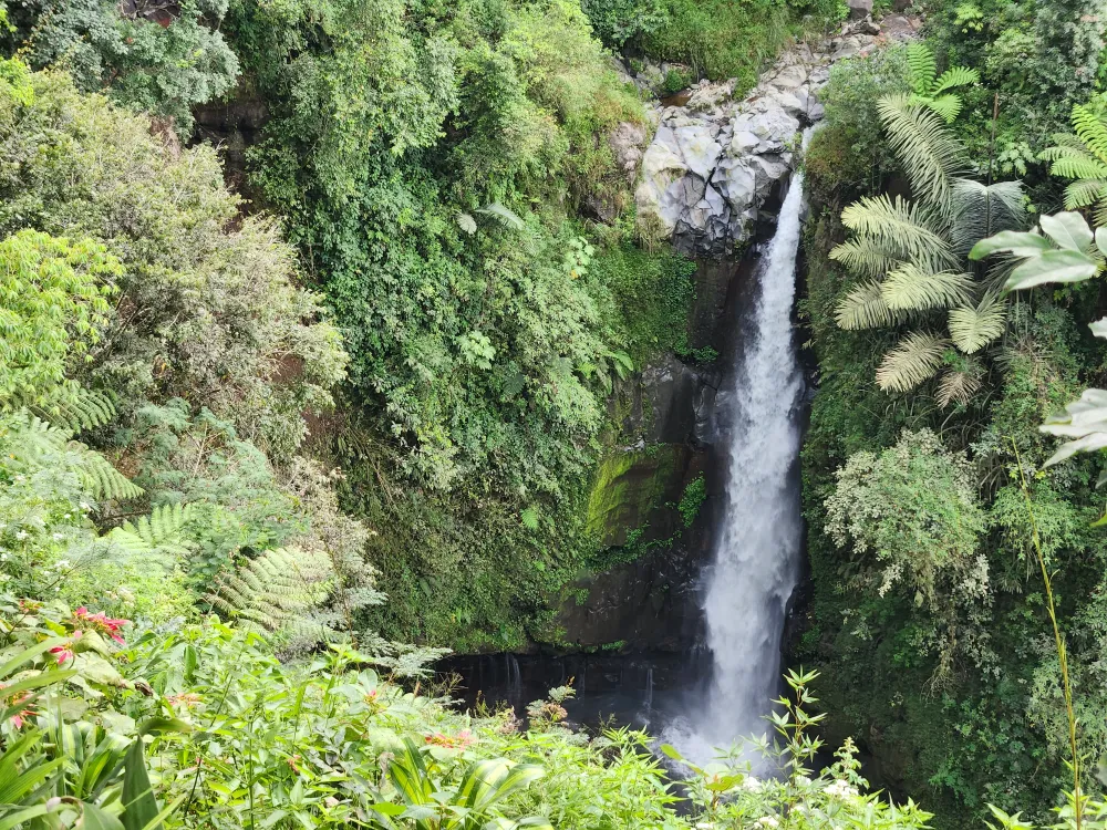 Air Terjun Kedung Kayang